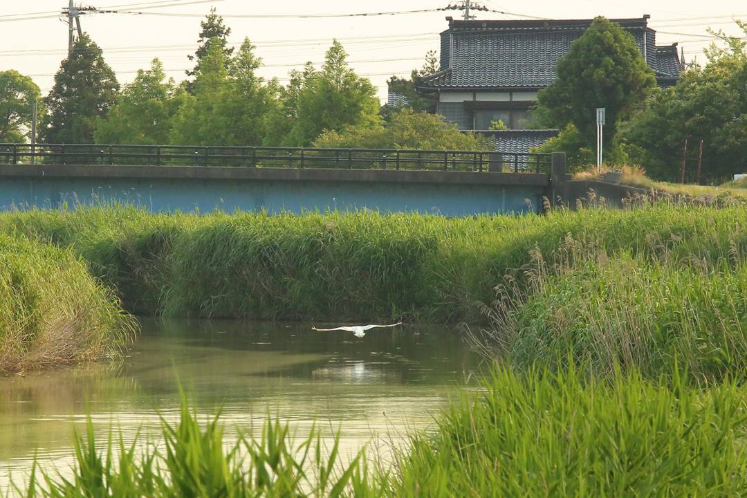 e0403850_06340565.jpg