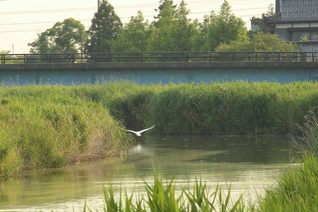 e0403850_06341465.jpg