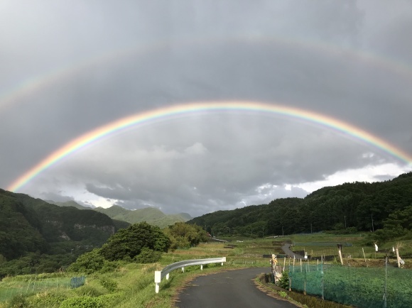 カーブの先に見えた虹・・・_b0100253_20421155.jpg