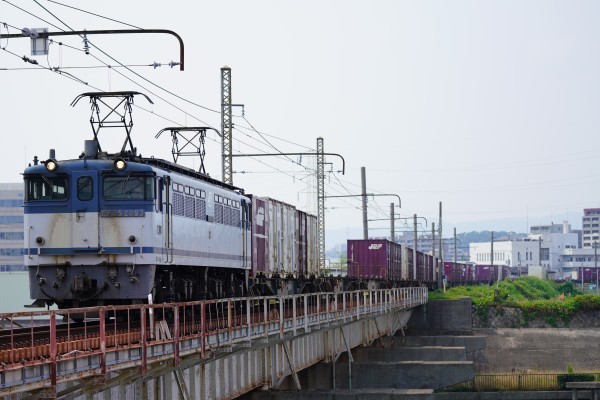 d0352155_16384539.jpg