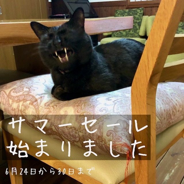 b0279058_15550789.jpeg