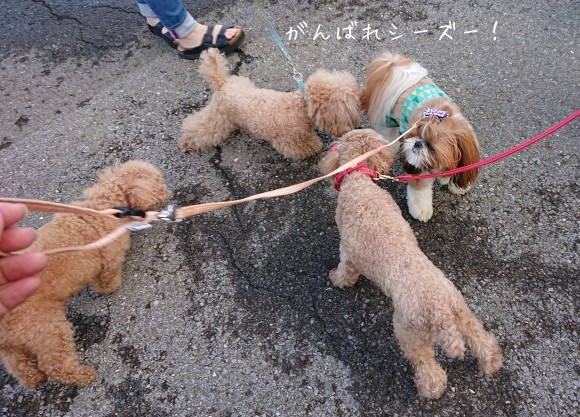 ６月２４日    雨のち晴れ   １日２０度_b0306158_18144715.jpg