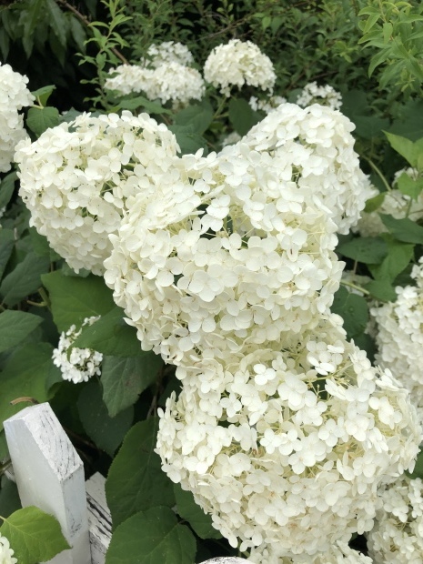 雨の日は ♪♪_e0263559_21325758.jpeg