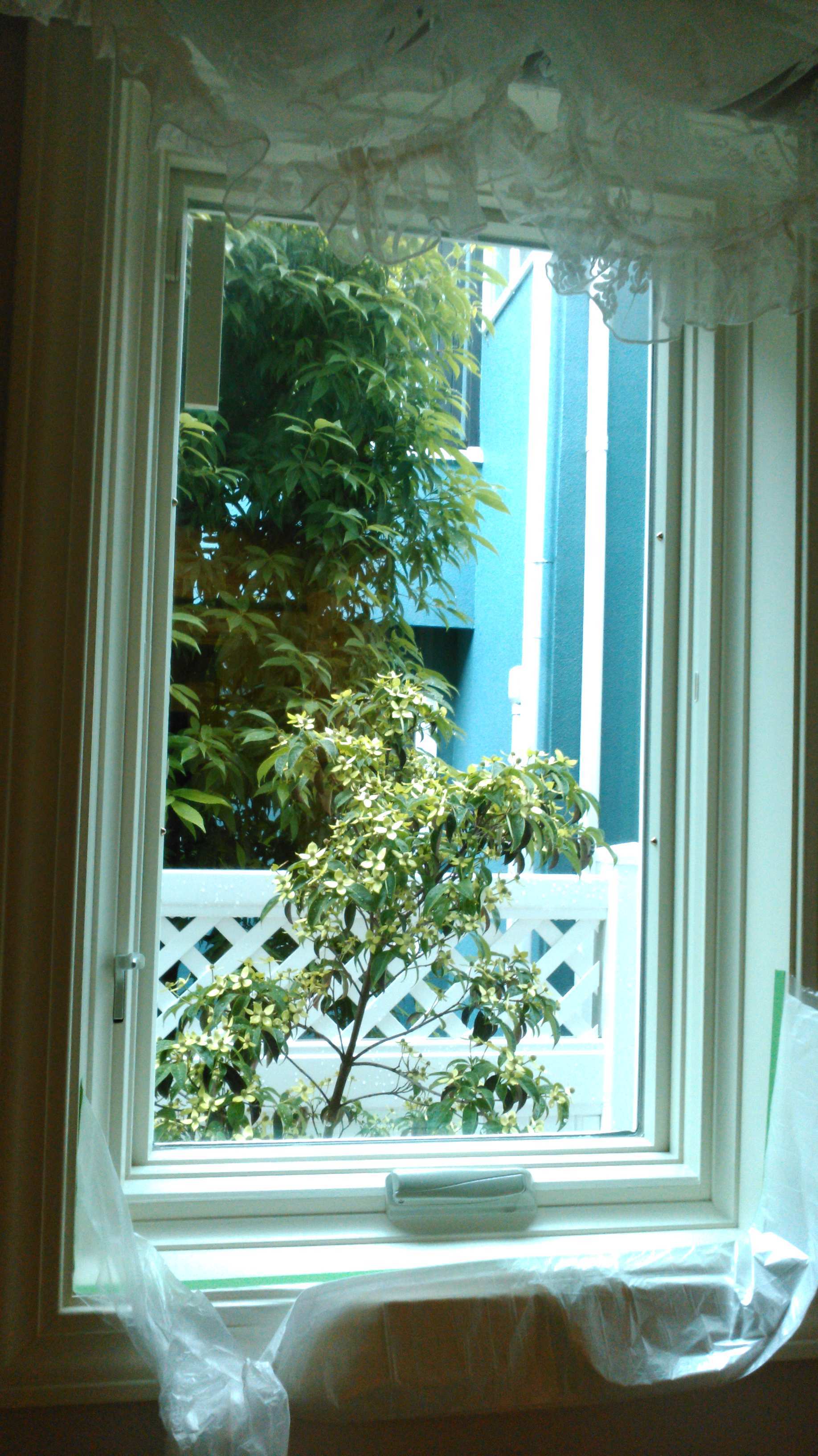 c0157866_17352024.jpg