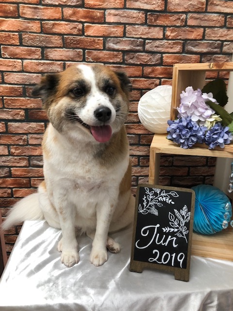 トリミングデー(2019・6・22)_e0367571_09224653.jpg