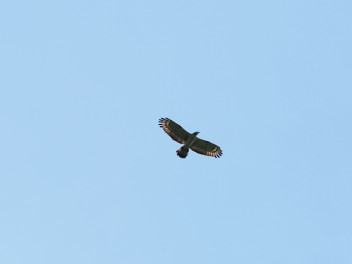 e0305074_21105738.jpg