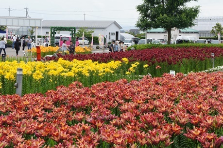 c0163878_10290674.jpg