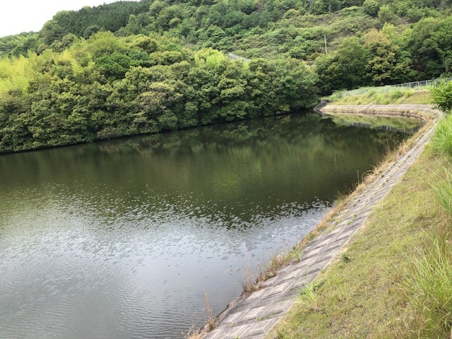 f0333882_10584958.jpg