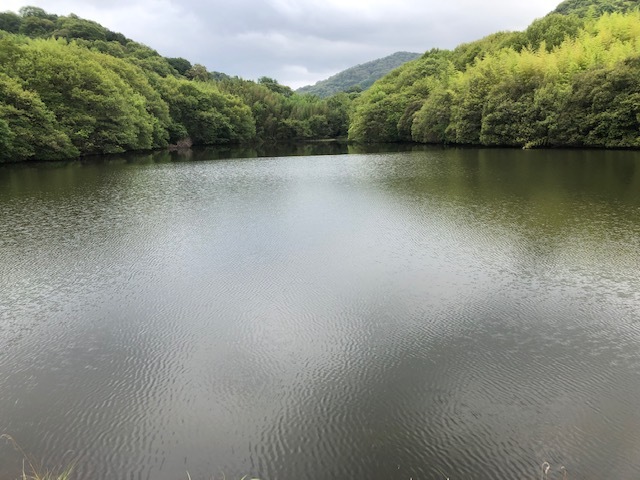 f0333882_10591401.jpg