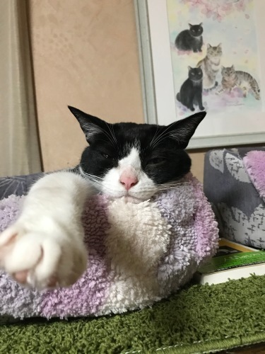 a0216583_23251095.jpeg
