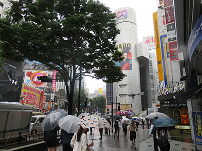 b0056983_11431482.jpg