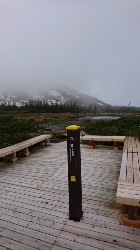 2019/06/24 栂池 天狗原へ_a0140584_08135979.jpg