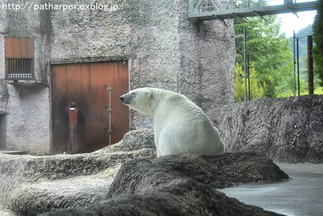2019年6月 とくしま動物園 その1_a0052986_734557.jpg