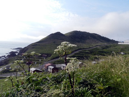f0205887_14012660.jpg
