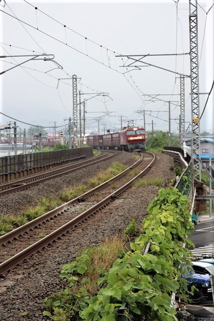 藤田八束の鉄道写真@東北本線を走る貨物列車「金太郎」、東海道本線を走る貨物列車「桃太郎」そして瑞風_d0181492_00143078.jpg