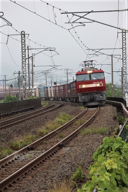 藤田八束の鉄道写真@東北本線を走る貨物列車「金太郎」、東海道本線を走る貨物列車「桃太郎」そして瑞風_d0181492_00143951.jpg