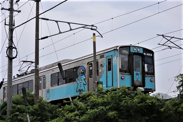 藤田八束の鉄道写真@東北本線を走る貨物列車「金太郎」、東海道本線を走る貨物列車「桃太郎」そして瑞風_d0181492_00164826.jpg