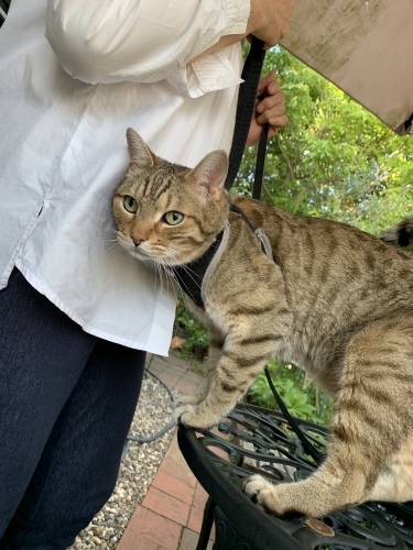 プーが主役❣️_e0358096_19535617.jpeg