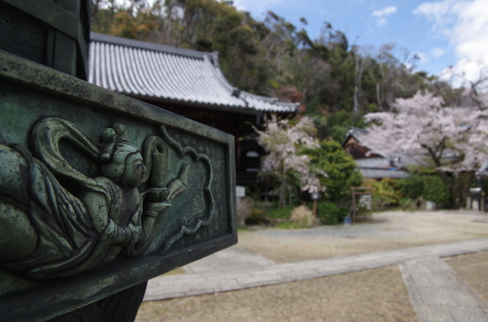 山崎聖天　桜_c0382798_11113912.jpg