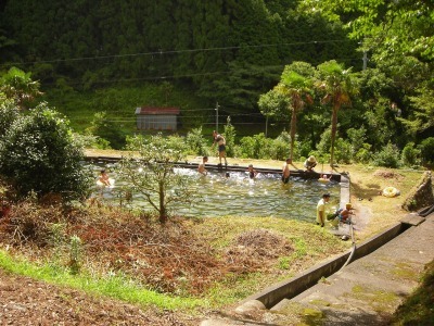 f0308898_10030365.jpg