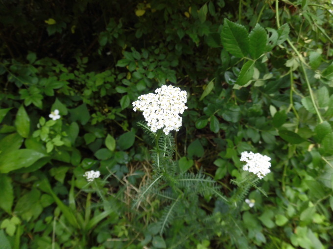 c0156104_23275989.jpg