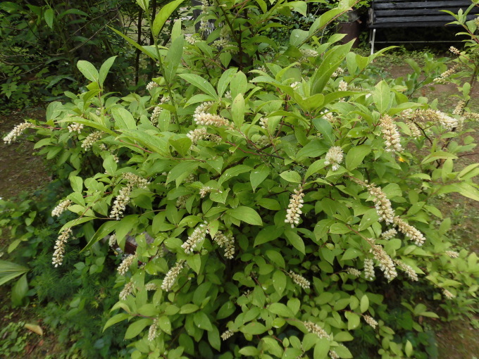 c0156104_23280918.jpg