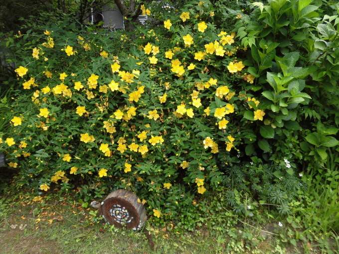 c0156104_23282164.jpg