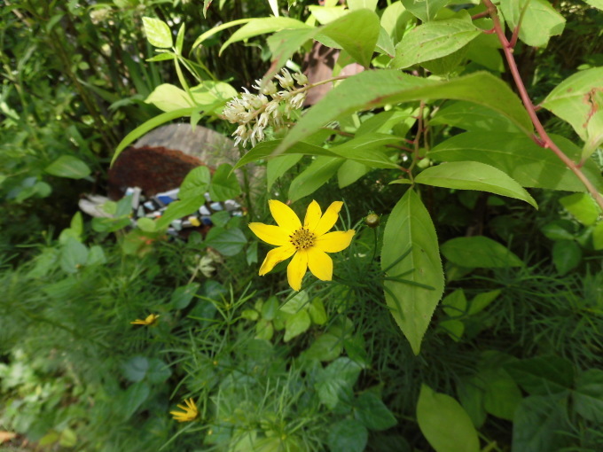 c0156104_23283880.jpg