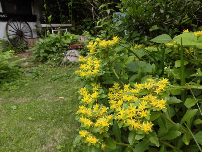c0156104_23305188.jpg