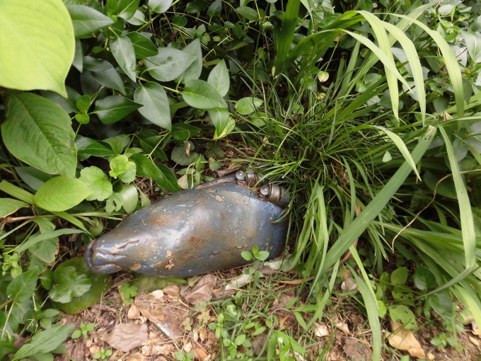 c0156104_23312283.jpg