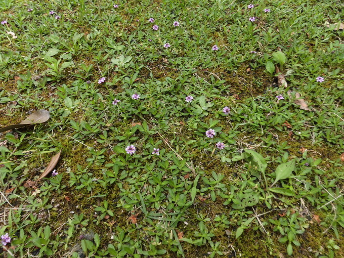 c0156104_23320028.jpg
