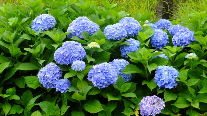 a0160407_20373712.jpg