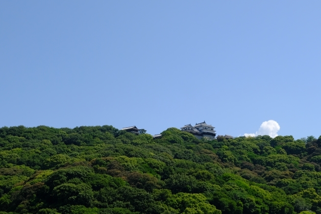 愛媛の旅 その2_e0000910_10532629.jpg