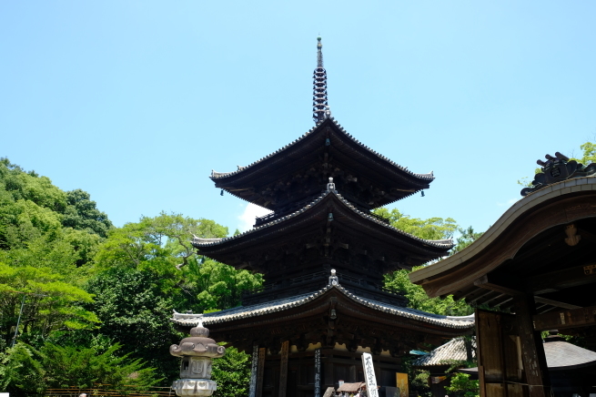 愛媛の旅 その2_e0000910_11091301.jpg
