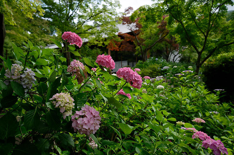 f0032011_20244298.jpg