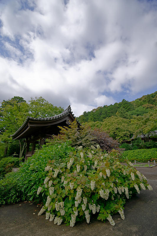 f0032011_20270075.jpg