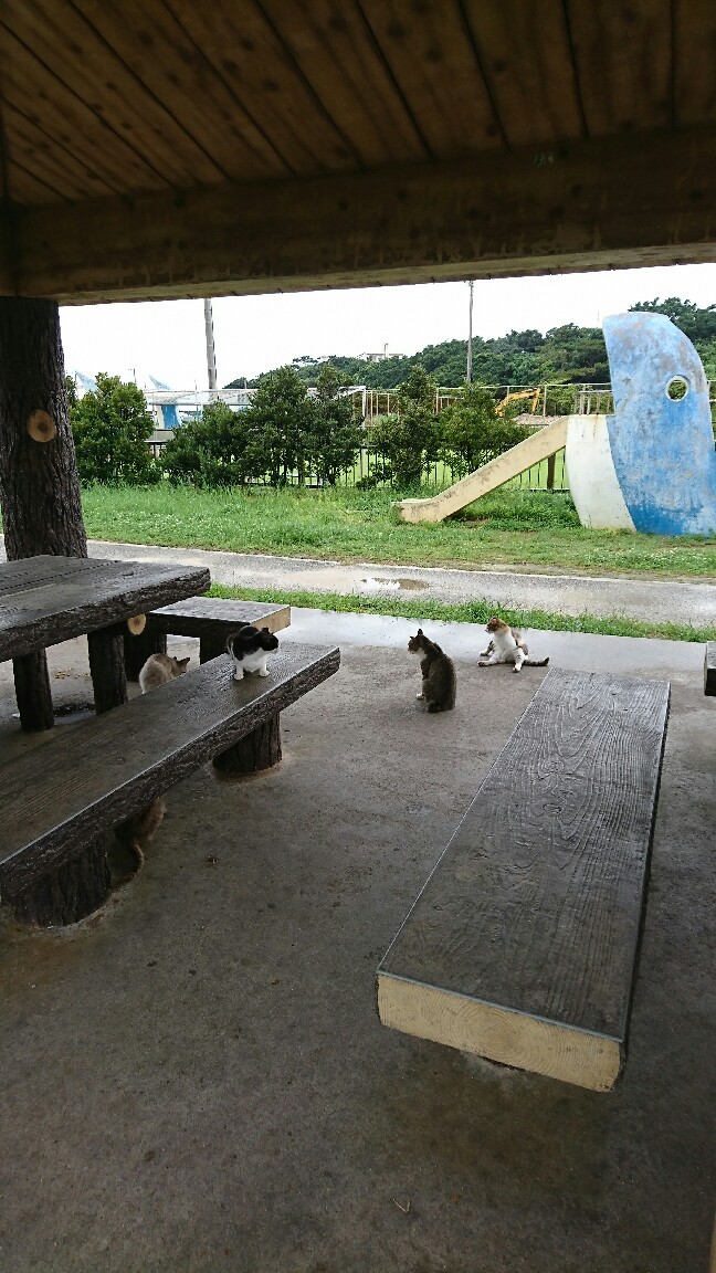 d0319812_05453267.jpg