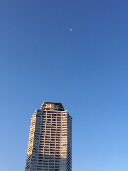 c0102513_22304830.jpeg