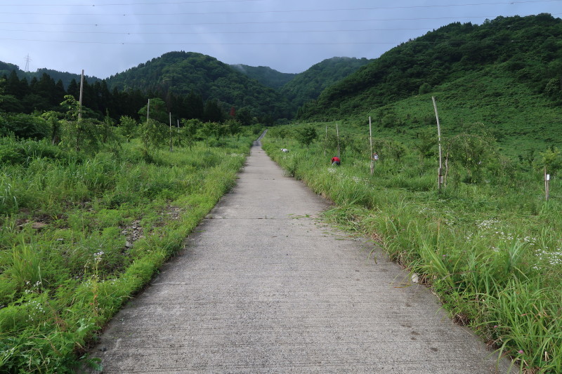 d0103314_17093246.jpg