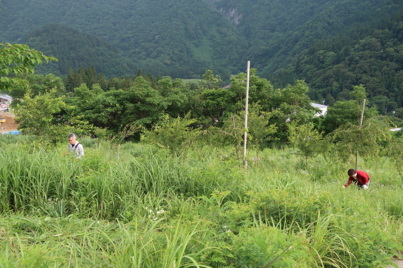 d0103314_17094162.jpg