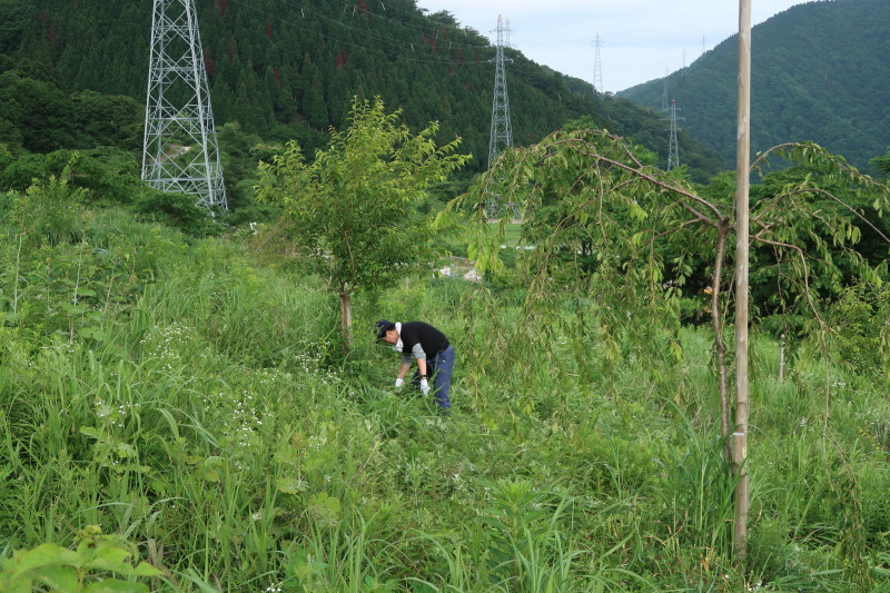 d0103314_17095121.jpg