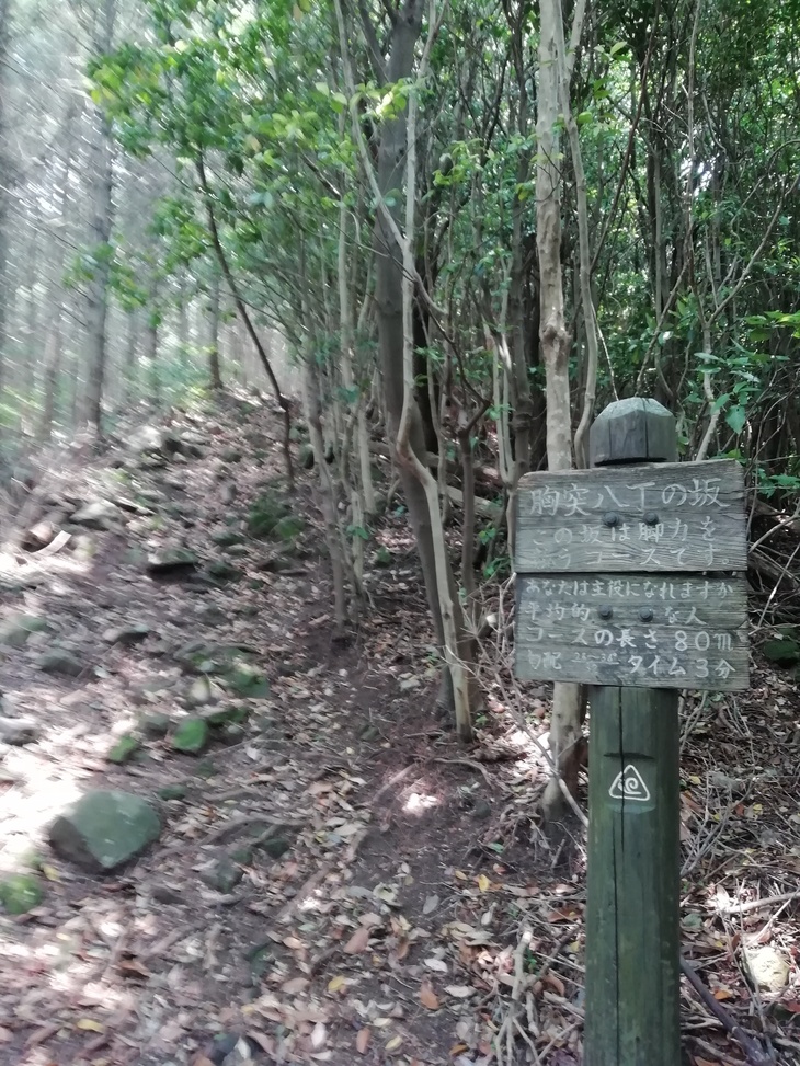 f0193521_18535785.jpg