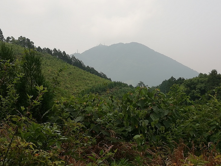 f0193521_4453050.jpg