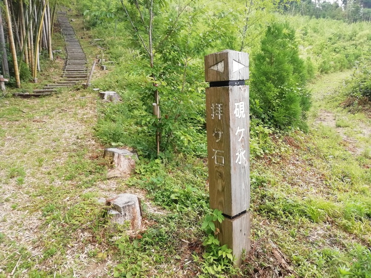 f0193521_446431.jpg