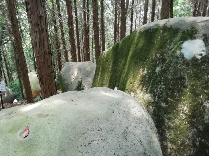 f0193521_4591084.jpg