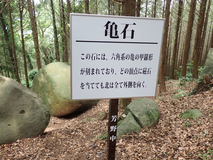 f0193521_511470.jpg