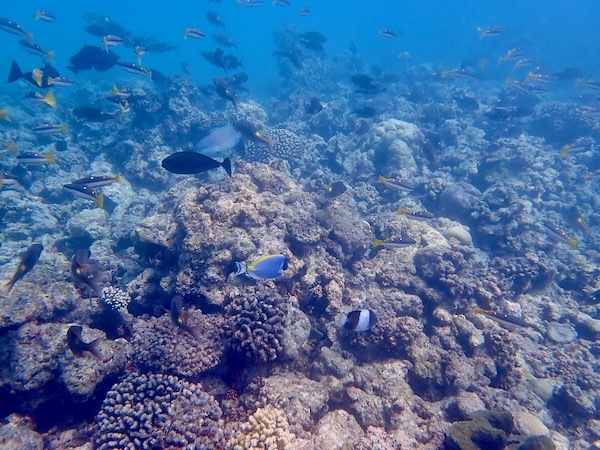 e0387424_11041693.jpg