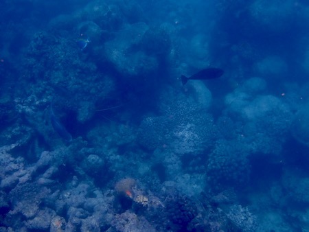 e0387424_11095942.jpg