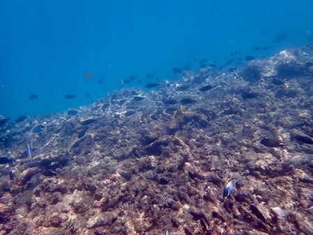e0387424_11101354.jpg