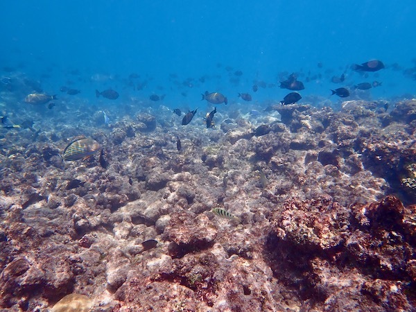 e0387424_11101358.jpg